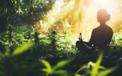 Découvrez des astuces efficaces pour utiliser le CBD contre l’anxiété